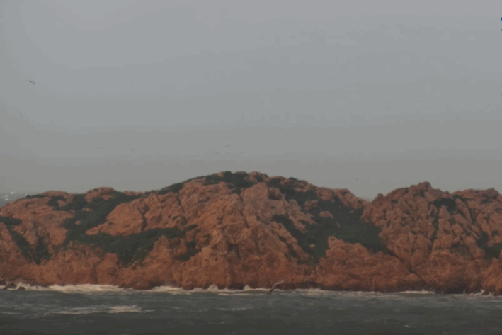 SARDEGNA nuovamente flagellata dal MAESTRALE SARDEGNA nuovamente flagellata dal MAESTRALE