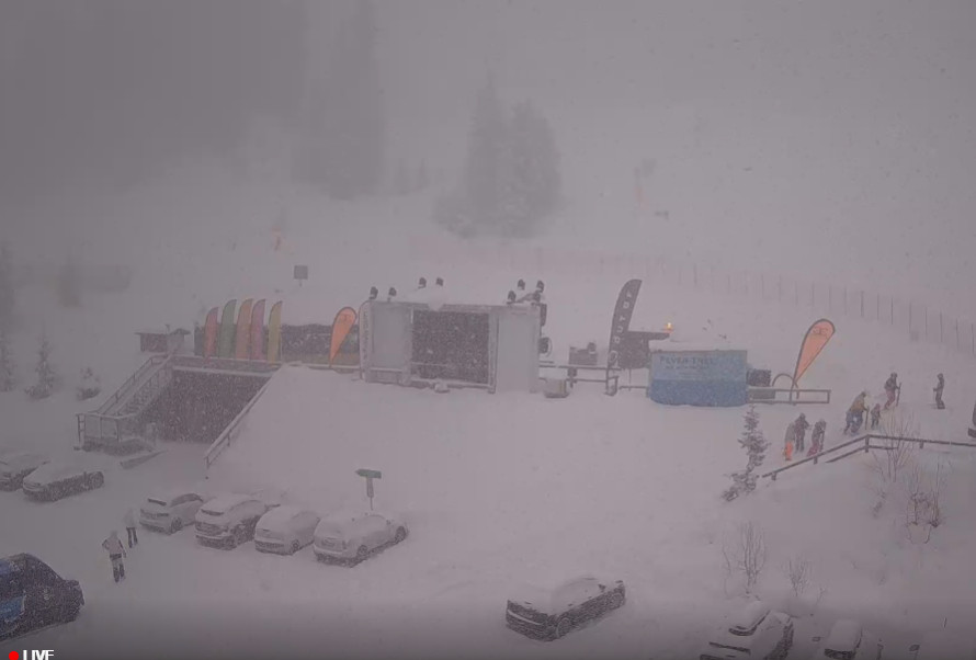 Splendida NEVICATA a Madonna di Campiglio – diretta streaming Splendida NEVICATA a Madonna di Campiglio – diretta streaming