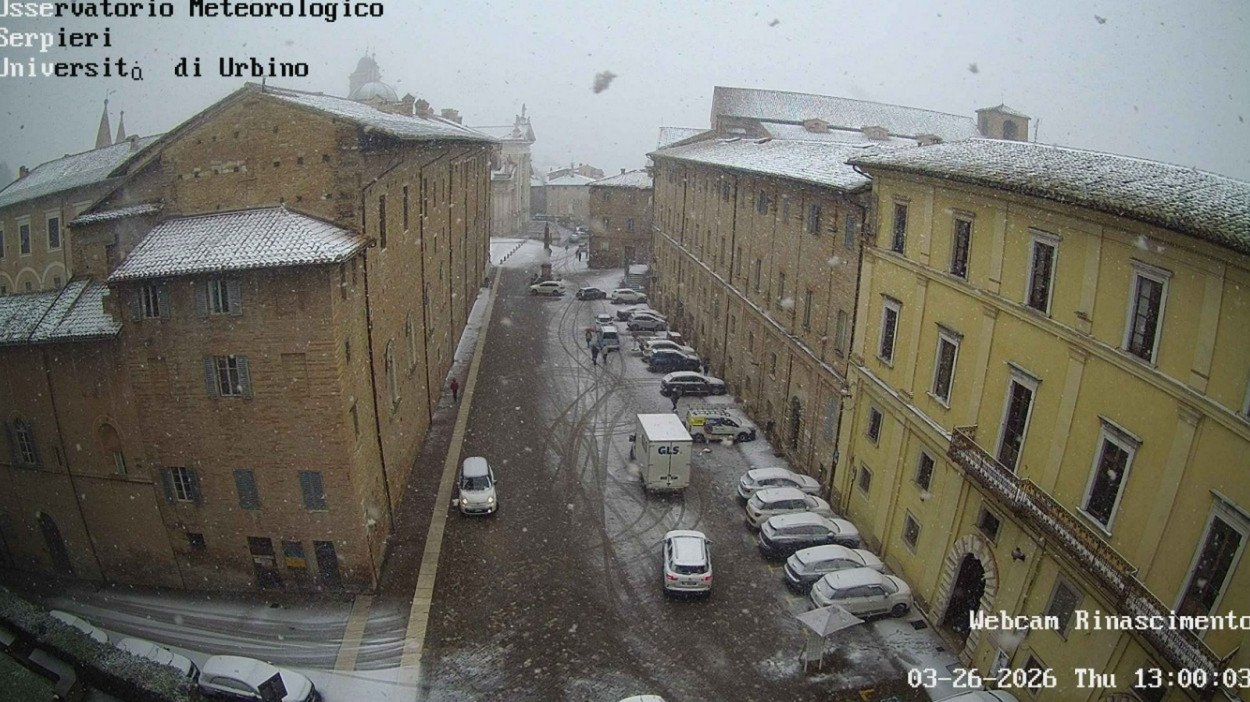 NEVICA ad Urbino nelle Marche NEVICA ad Urbino nelle Marche