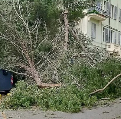 VENTO FORTE: danni in Liguria