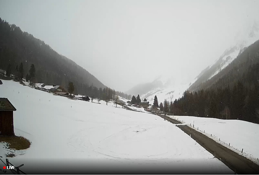 NEVICA sui settori confinali dell’Alto Adige NEVICA sui settori confinali dell’Alto Adige