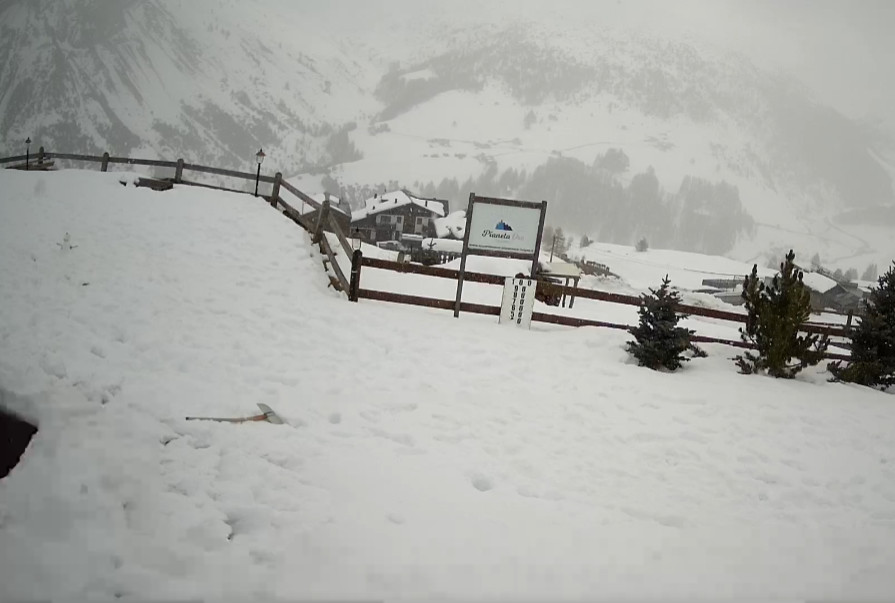 NEVICA a Trepalle(SO)la frazione più alta d’Italia NEVICA a Trepalle(SO)la frazione più alta d’Italia