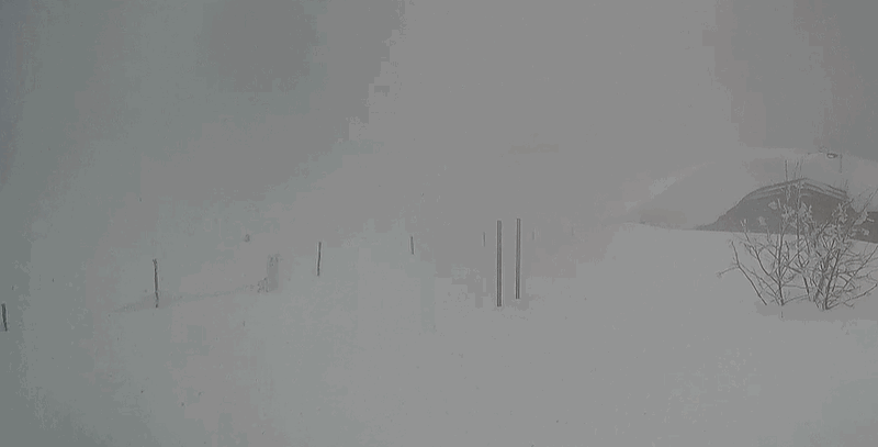 Appennino Molisano sommerso dalla NEVE: situazione difficile a Capracotta (diretta)