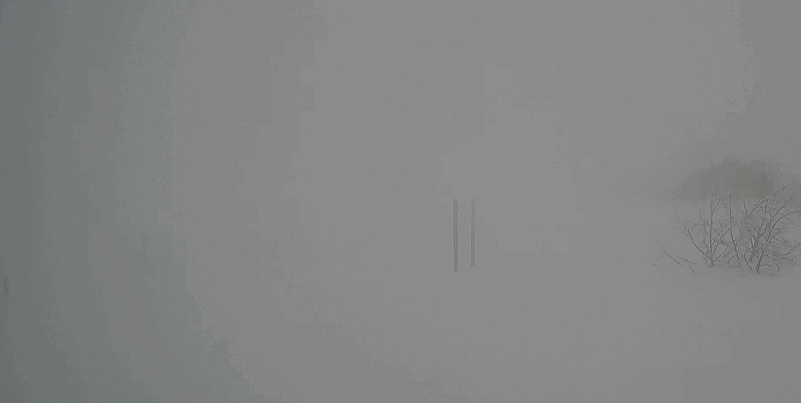 Continua a NEVICARE a Capracotta, ma siamo finalmente agli sgoccioli Continua a NEVICARE a Capracotta, ma siamo finalmente agli sgoccioli