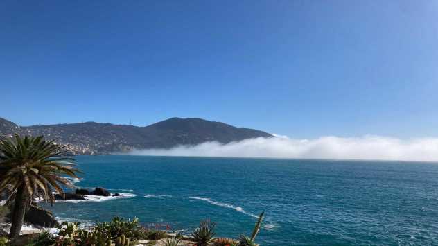 Venerdì 10 rischio NEBBIA di MARE su questi settori Venerdì 10 rischio NEBBIA di MARE su questi settori