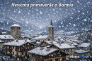 Nevicata a larghe falde il 14 maggio su Bormio.