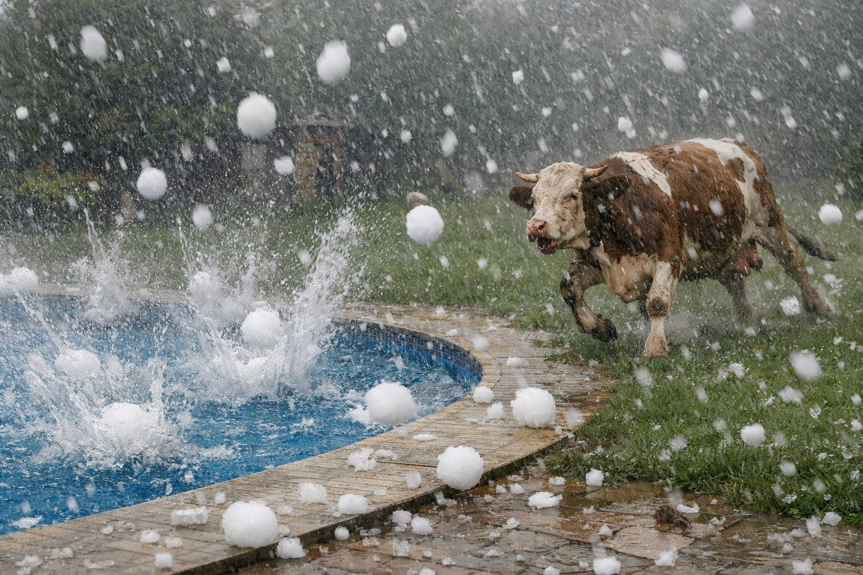 Palle di tennis in piscina? No, GRANDINE (video)