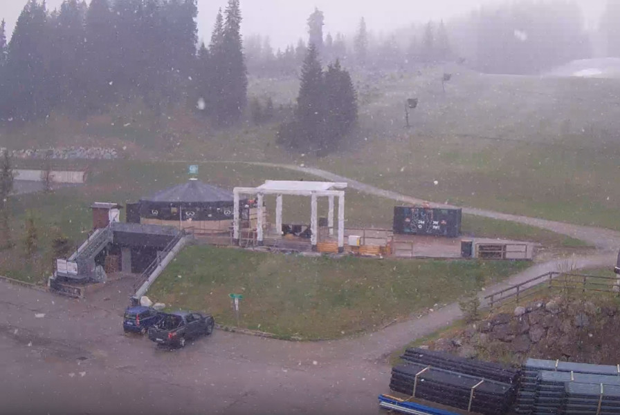 NEVE a Madonna di Campiglio