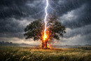un fulmine si abbatte su un albero in campagna.