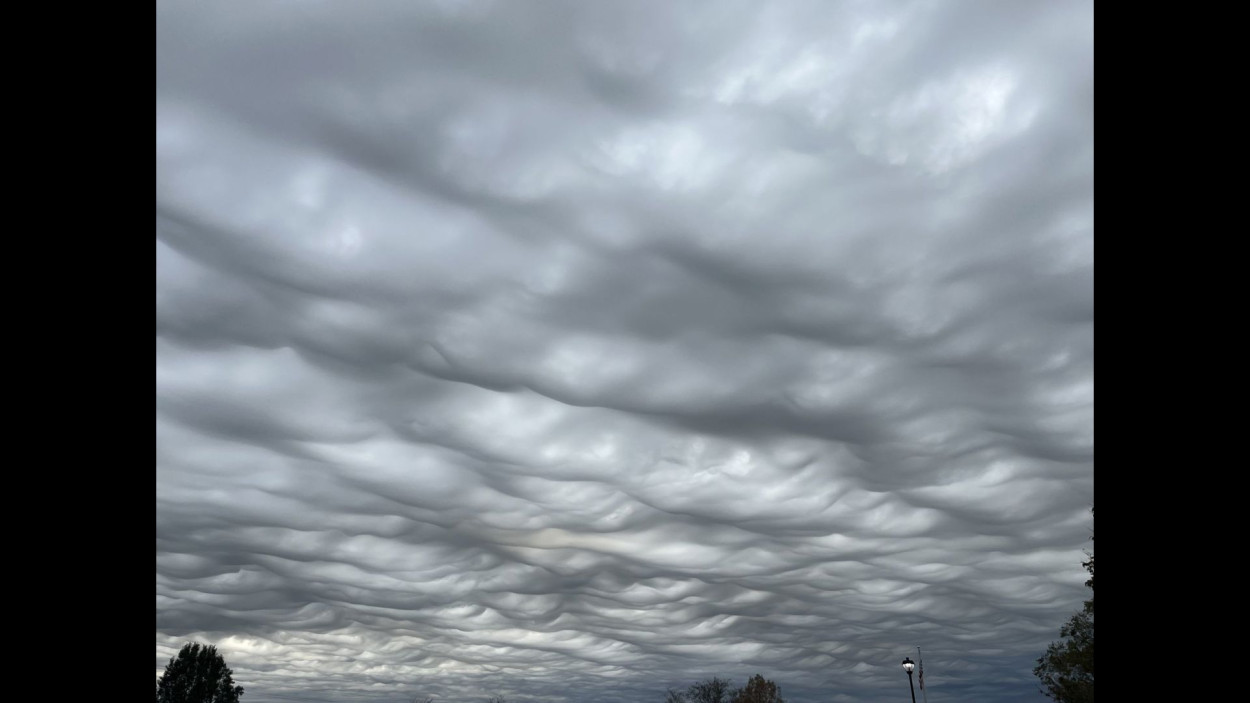 Gli asperatus sono tornati.