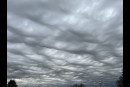 Gli asperatus sono tornati.