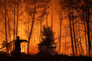 incendio di bosco