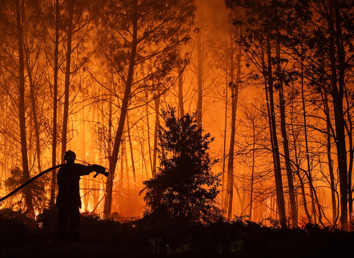 INCENDI in Europa: situazione SPAVENTOSA su Francia e Spagna incendio di bosco