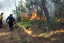 INCENDIO