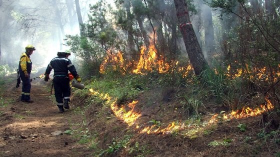 INCENDIO