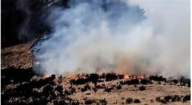 Ancora INCENDI in Piemonte! Ancora INCENDI in Piemonte!