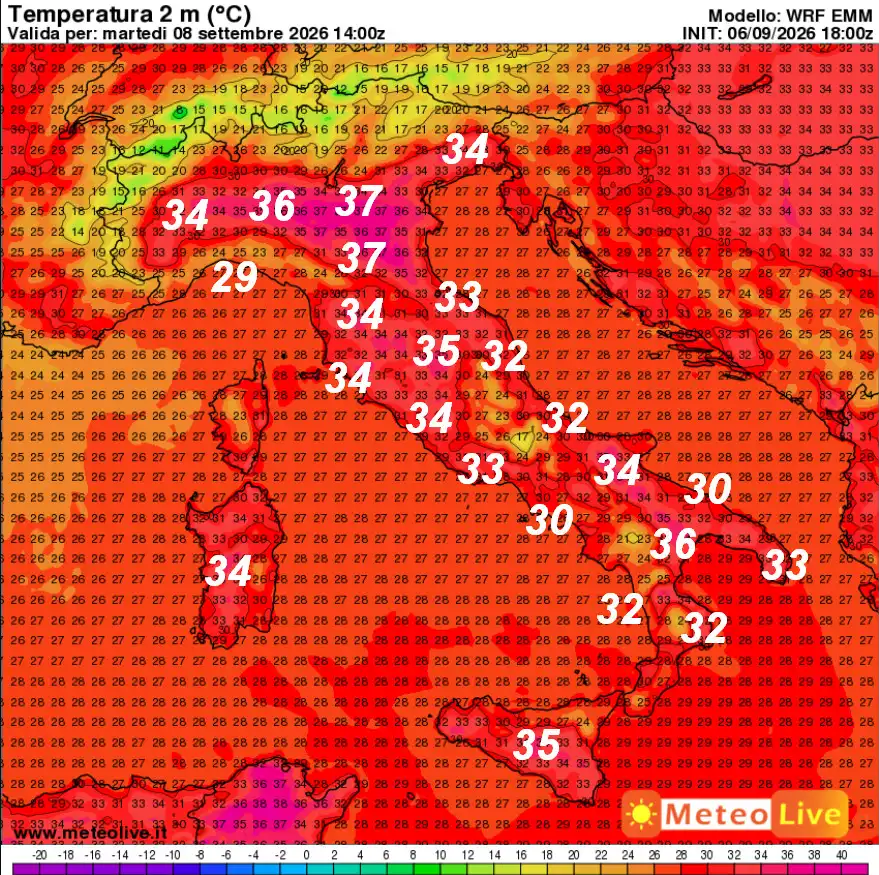 catta-temp.jpg.webp