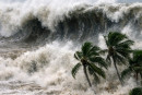 Allerta Tsunami